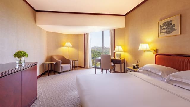 Superior Room 1 King Bed, River View