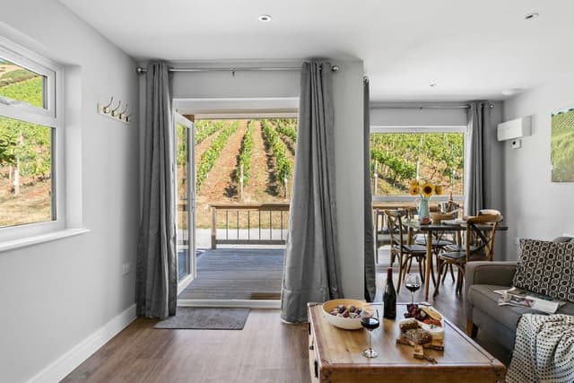 Premium House, Private Bathroom, Vineyard View (Pet Friendly)
