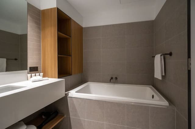 One Bedroom Apartment