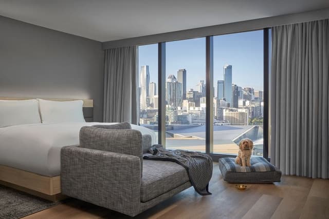 Premium Room, 1 King Bed, City View
