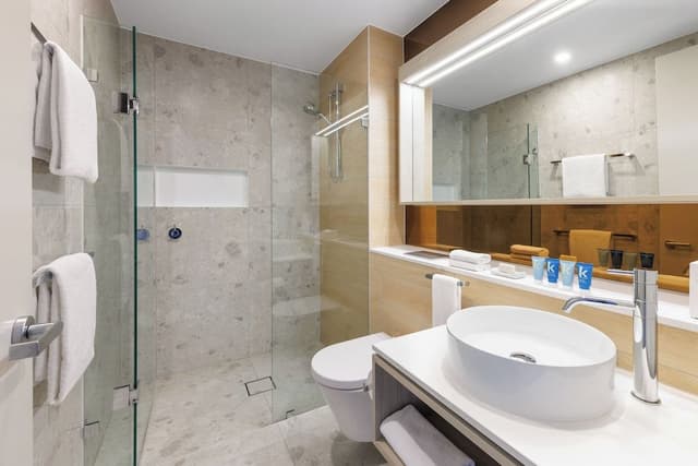 1 Bedroom Altitude Suite