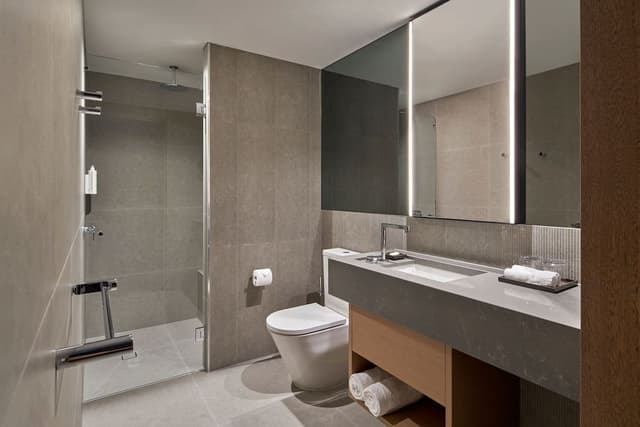 Suite, 1 King Bed, City View