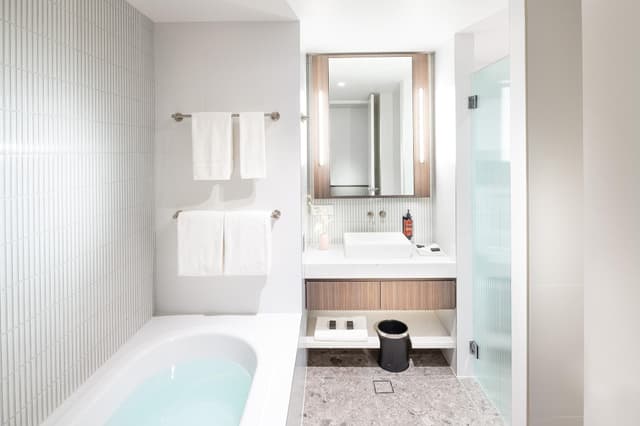Superior One Bedroom Suite