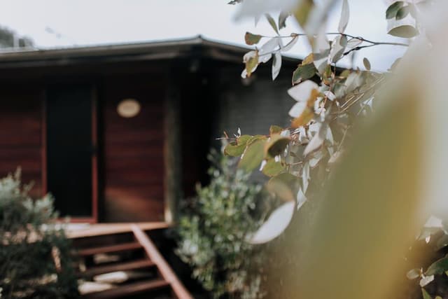 Romantic Cabin