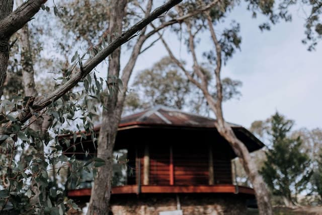 Signature Cabin