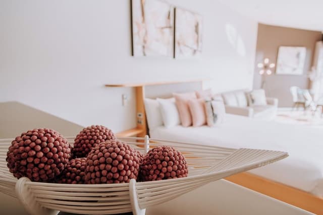 Premier Studio Suite, Balcony, River View