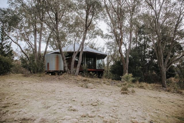 Signature Cabin