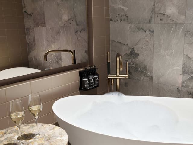 Deluxe Suite (Luxury)