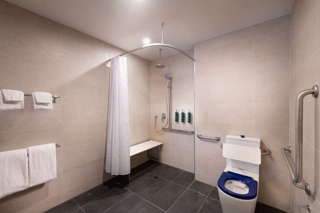 KING ACCESSIBLE ROOM