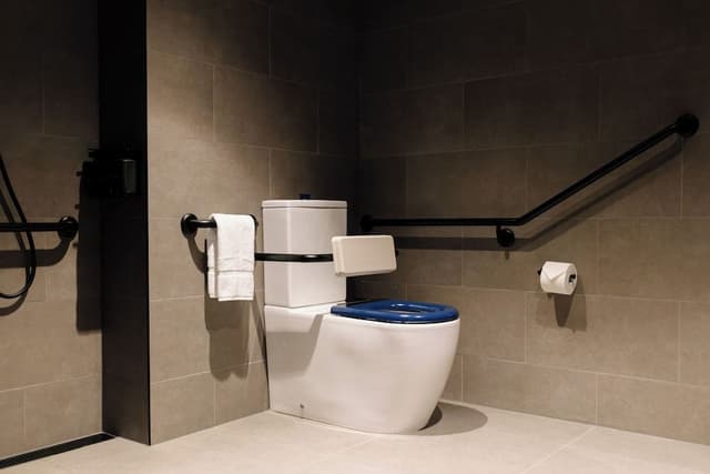 Deluxe Apartment, 1 Bedroom, Mobility Accessible