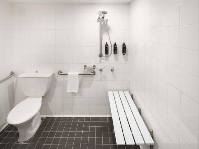 Standard Accessible King Room