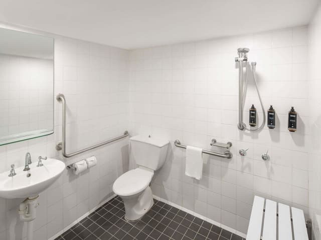 Standard Accessible King Room