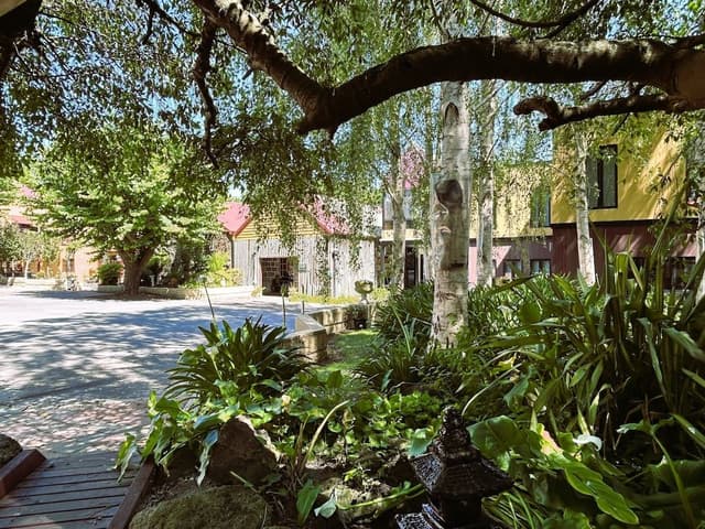 Deluxe Studio, 1 Bedroom, Non Smoking, Kitchen (Studio for Couple (spa))