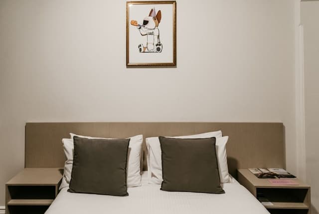 Skylight Queen Room