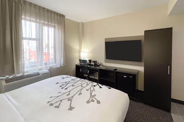 1 King Bed, Nonsmoking, Accessible