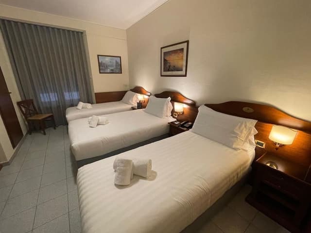 Basic Triple Room