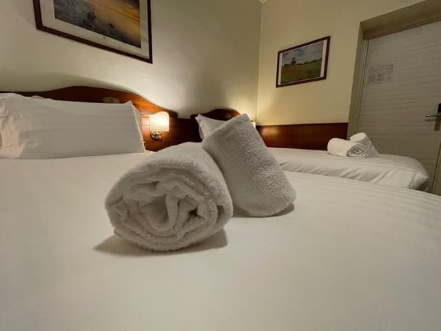 Basic Triple Room
