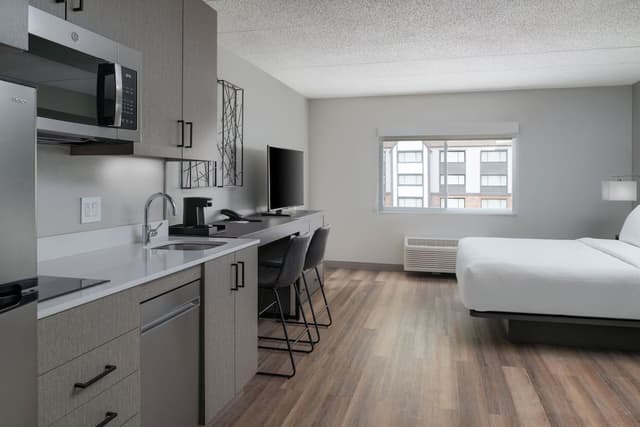 Studio, 1 King Bed with Sofa bed