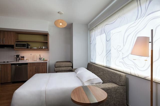 Studio, 1 King Bed with Sofa bed