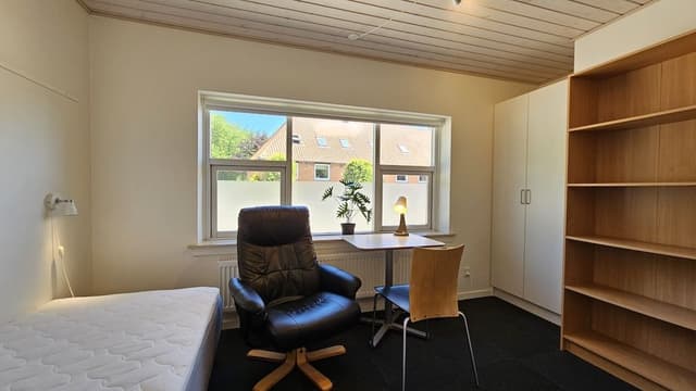 Business Single Room