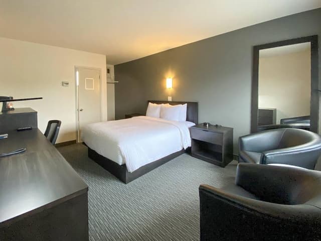 Room, 1 Queen Bed, Non Smoking