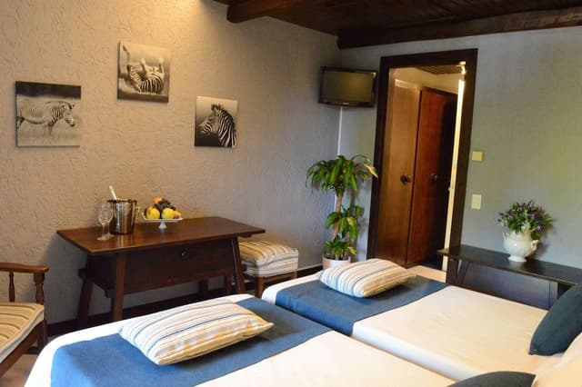 Double or Twin Room