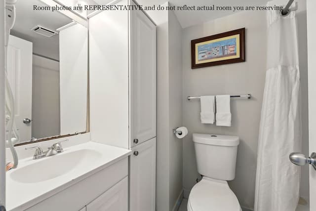Junior Condo, 1 Queen Bed with Sofa bed