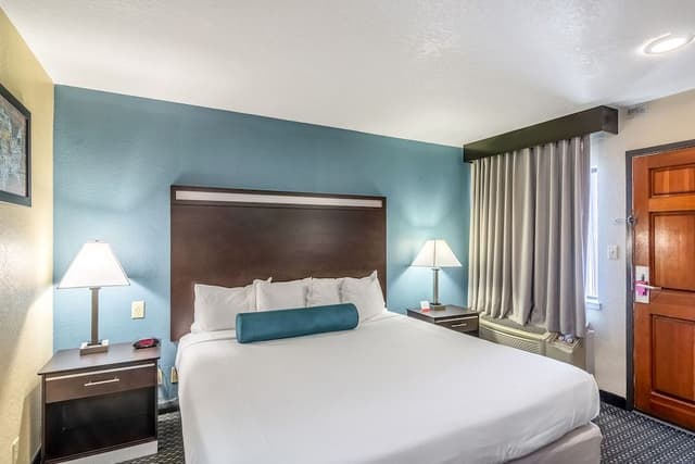 Suite, 1 King Bed