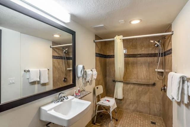 Room, 1 King Bed, Mobility Accessible