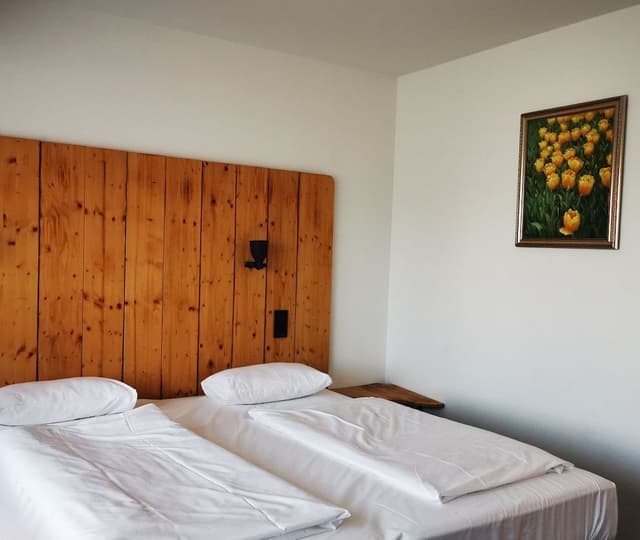 Basic Double Room