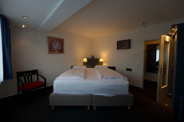 Basic Double Room