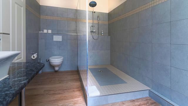 Premium Apartment, 1 King Bed with Sofa bed