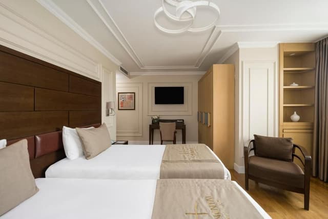 Superior Double or Twin Room
