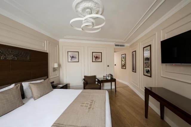 Superior Double or Twin Room