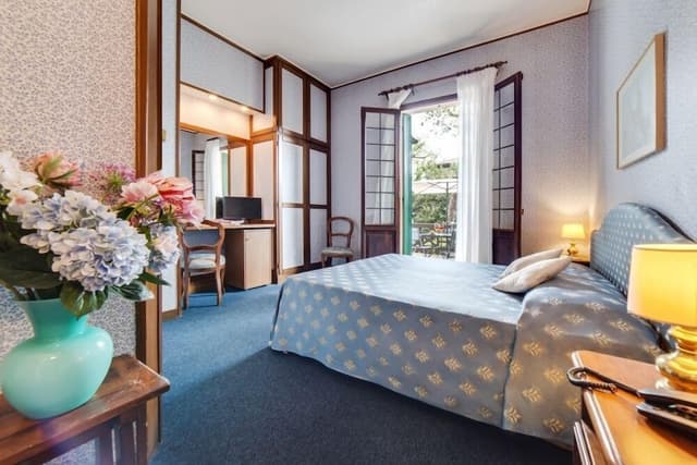 Deluxe Double or Twin Room, Terrace