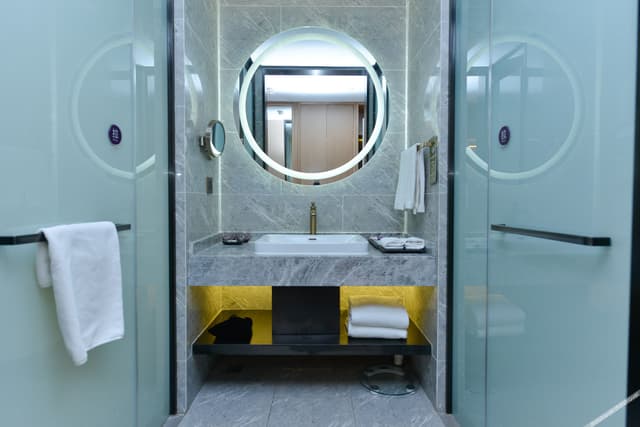 Deluxe Room with 1 king-size bed