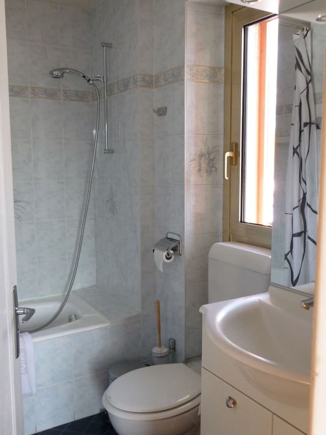 Double or Twin Room (Montagne)