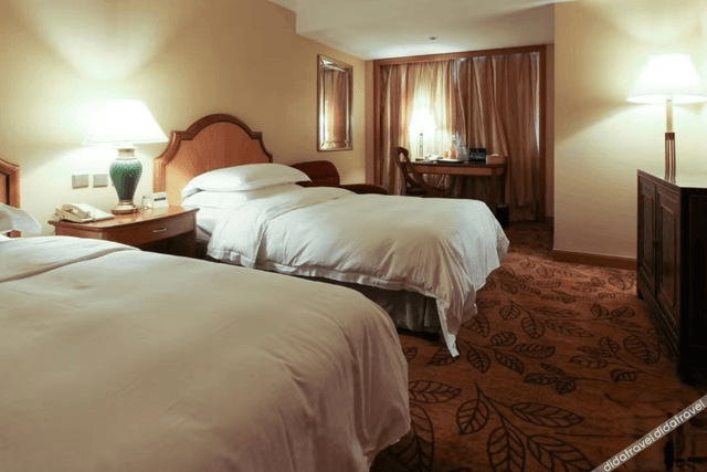 Superior Room (2 beds)