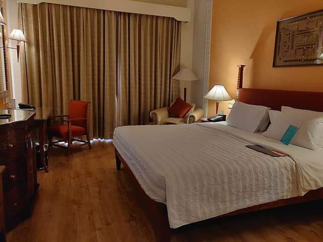 Room, 1 King Bed