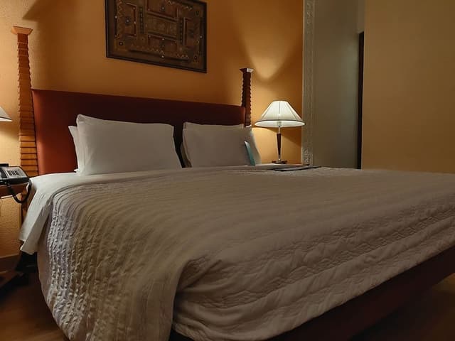Room, 1 King Bed