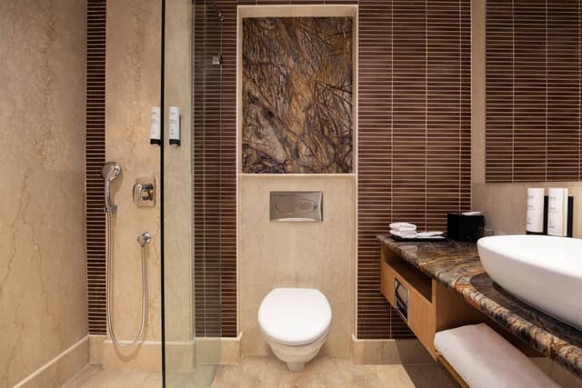 Guest room, 1 King, City view