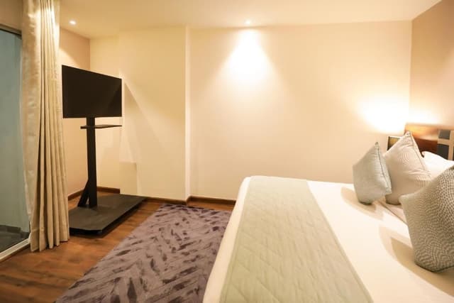 Deluxe Suite with Terrace