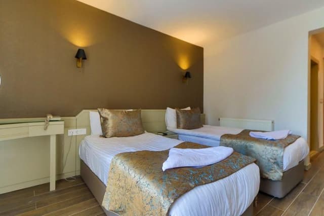 Double or Twin Room