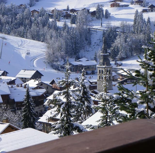 Double or Twin Room, Balcony, Mountain View