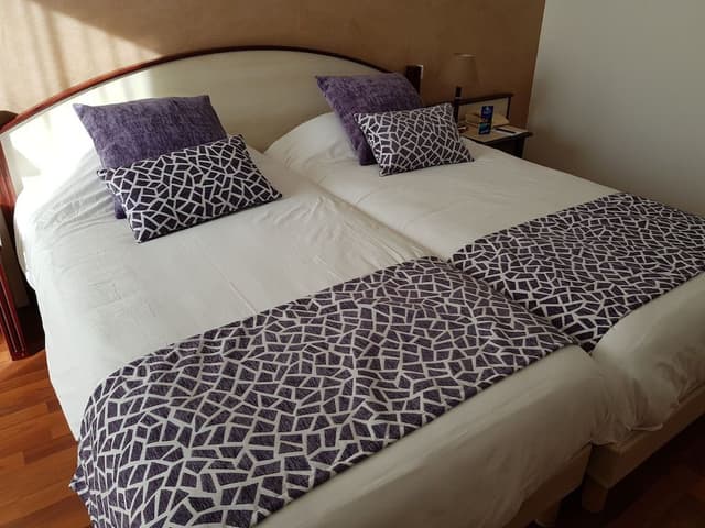 Comfort Twin Room