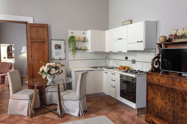 Classic Apartment, 1 King Bed with Sofa bed, Kitchen