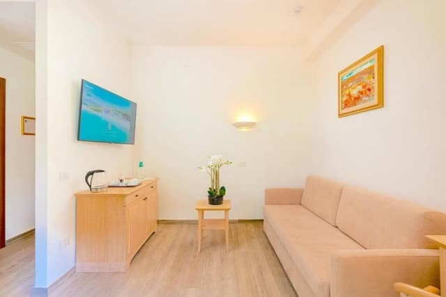 Junior Suite, Park View