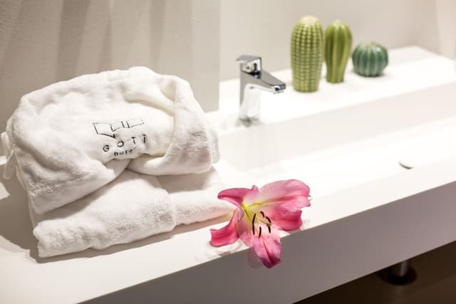 Deluxe Room with Balcony and Spa Access