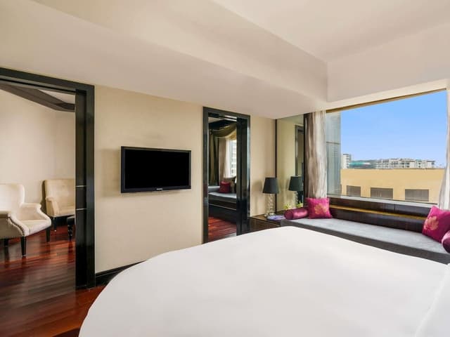 Suite, 1 King Bed (Opera)