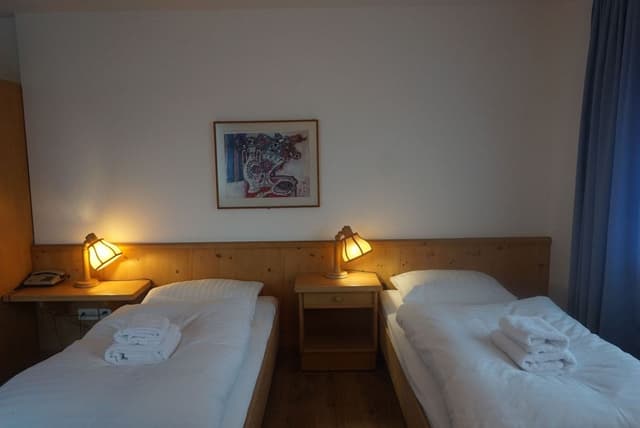 Basic Double or Twin Room